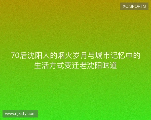 70后沈阳人的烟火岁月与城市记忆中的生活方式变迁老沈阳味道 70后沈阳人的烟火岁月与城市记忆中的生活方式变迁老沈阳味道